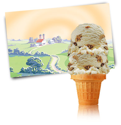 Turkey Hill Butter Pecan Ice Cream and Frozen Desserts