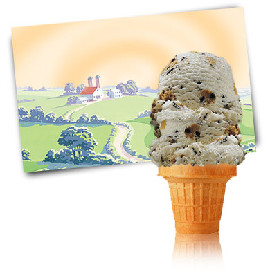 Turkey Hill Chocolate Chip Cookie Dough Ice Cream and Frozen Desserts