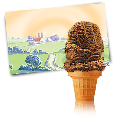 Turkey Hill Chocolate Peanut Butter Ice Cream and Frozen Desserts
