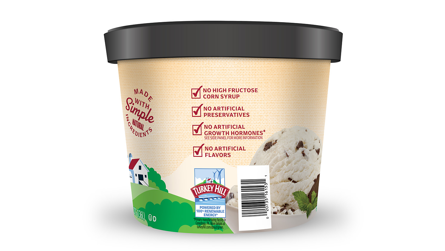 Mint Chocolate Chip Image 2